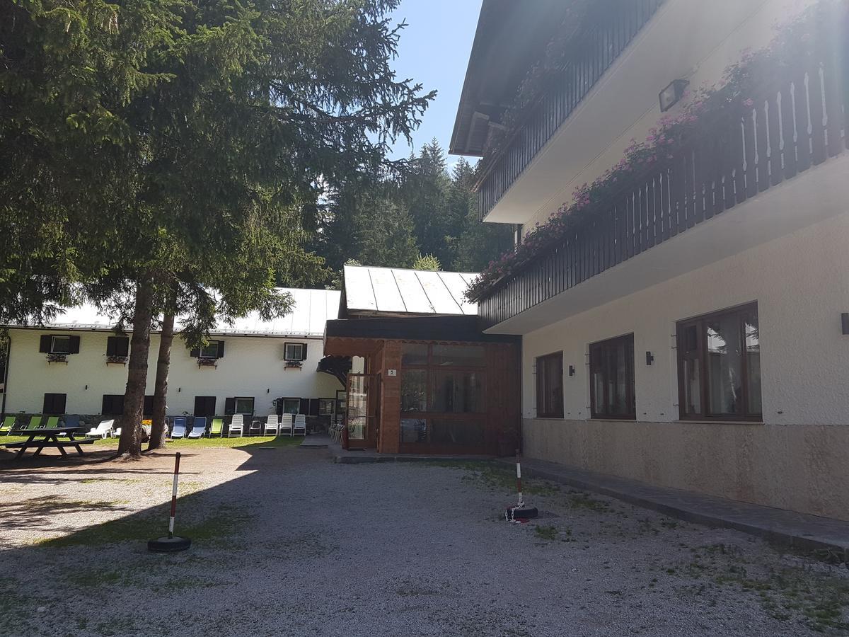 Guest house Casa Alpina 3*